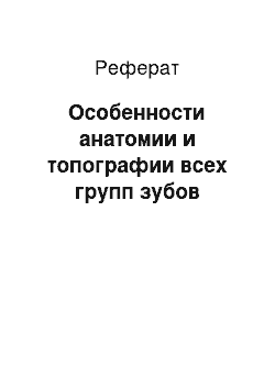 Реферат: Особенности анатомии и топографии всех групп зубов