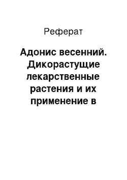 Реферат: Адонис весенний. Дикорастущие лекарственные растения и их применение в медицине