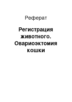 Реферат: Регистрация животного. Овариоэктомия кошки