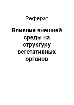 Реферат: Влияние внешней среды на структуру вегетативных органов