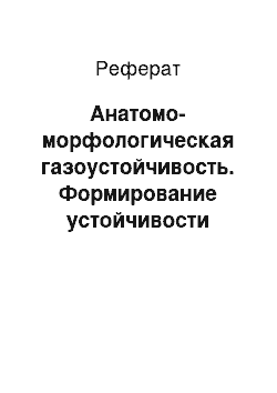 Реферат: Анатомо-морфологическая газоустойчивость. Формирование устойчивости растений к газам