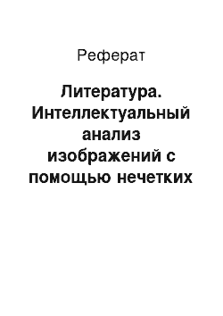 Реферат: Литература. Интеллектуальный анализ изображений с помощью нечетких отношений на инкапсулирующих гранулах