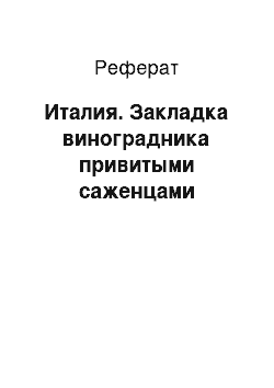 Реферат: Италия. Закладка виноградника привитыми саженцами