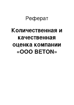 Реферат: Количественная и качественная оценка компании «ООО BETON»