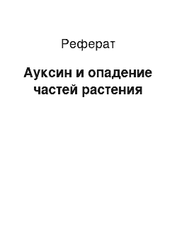 Реферат: Ауксин и опадение частей растения