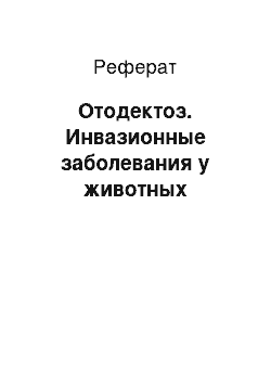 Реферат: Отодектоз. Инвазионные заболевания у животных