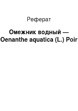 Реферат: Омежник водный — Oenanthe aquatica (L.) Poir