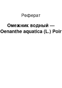 Реферат: Омежник водный — Oenanthe aquatica (L.) Poir