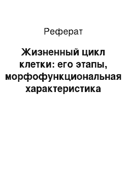 Реферат: Жизненный цикл клетки: его этапы, морфофункциональная характеристика