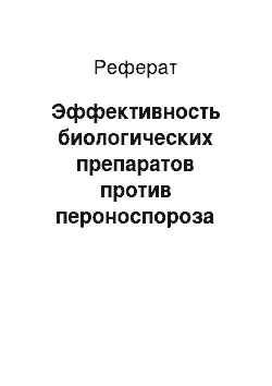 Реферат: Эффективность биологических препаратов против пероноспороза огурца