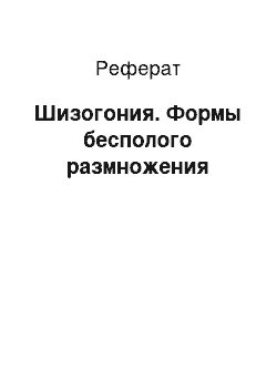 Реферат: Шизогония. Формы бесполого размножения