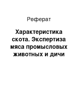 Реферат: Характеристика скота. Экспертиза мяса промысловых животных и дичи