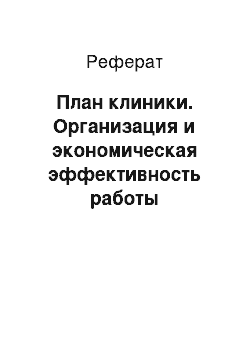 Реферат: План клиники. Организация и экономическая эффективность работы ветеринарной клиники "Зоодоктор"