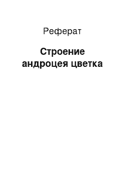 Реферат: Строение андроцея цветка