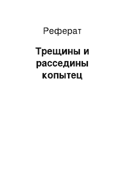 Реферат: Трещины и расседины копытец