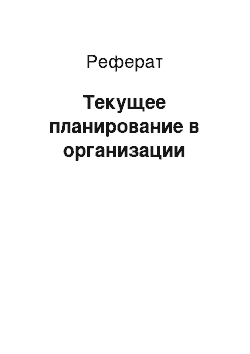 Реферат: Текущее планирование в организации