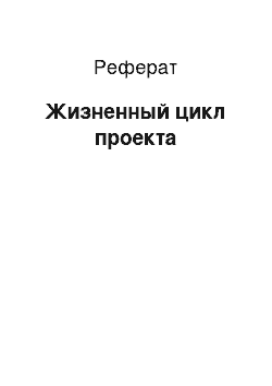 Реферат: Жизненный цикл проекта