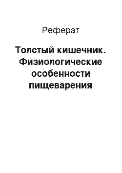 Реферат: Толстый кишечник. Физиологические особенности пищеварения