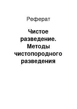 Реферат: Чистое разведение. Методы чистопородного разведения крупной белой породы