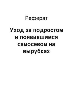 Реферат: Уход за подростом и появившимся самосевом на вырубках