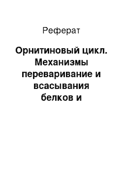 Реферат: Орнитиновый цикл. Механизмы переваривание и всасывания белков и аминокислот