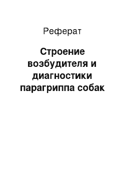 Реферат: Строение возбудителя и диагностики парагриппа собак