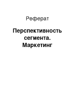 Реферат: Перспективность сегмента. Маркетинг