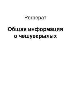 Реферат: Общая информация о чешуекрылых