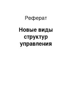 Реферат: Новые виды структур управления