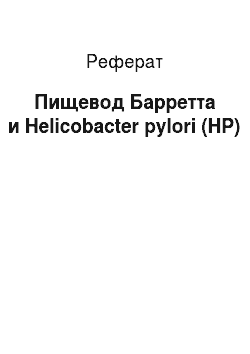 Реферат: Пищевод Барретта и Helicobacter pylori (HP)