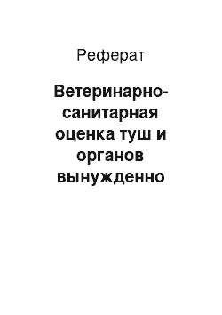 Реферат: Ветеринарно-санитарная оценка туш и органов вынужденно убитых животных