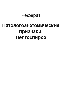 Реферат: Патологоанатомические признаки. Лептоспироз