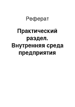 Реферат: Практический раздел. Внутренняя среда предприятия