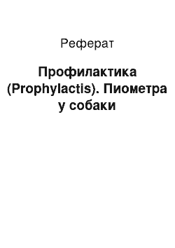 Реферат: Профилактика (Prophylactis). Пиометра у собаки