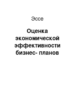 Эссе: Оценка экономической эффективности бизнес-планов