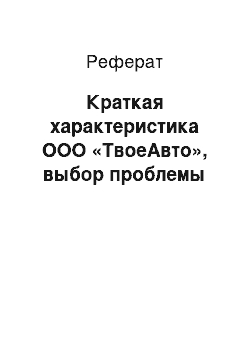 Реферат: Краткая характеристика ООО «ТвоеАвто», выбор проблемы