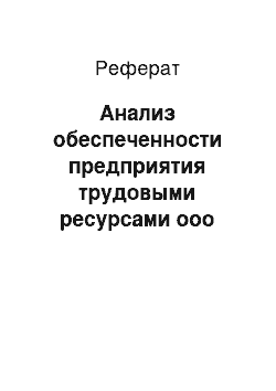 Реферат: Анализ обеспеченности предприятия трудовыми ресурсами ооо «идель»