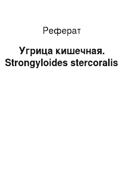 Реферат: Угрица кишечная. Strongyloides stercoralis