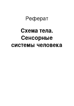 Реферат: Схема тела. Сенсорные системы человека