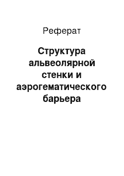 Реферат: Структура альвеолярной стенки и аэрогематического барьера