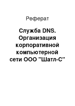 Реферат: Служба DNS. Организация корпоративной компьютерной сети ООО "Шатл-С"